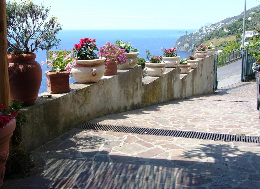 Locanda Degli Agrumi Conca dei Marini Ngoại thất bức ảnh